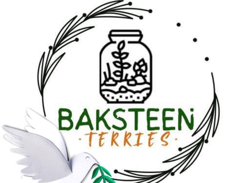 Baksteen Terries - Terrariums