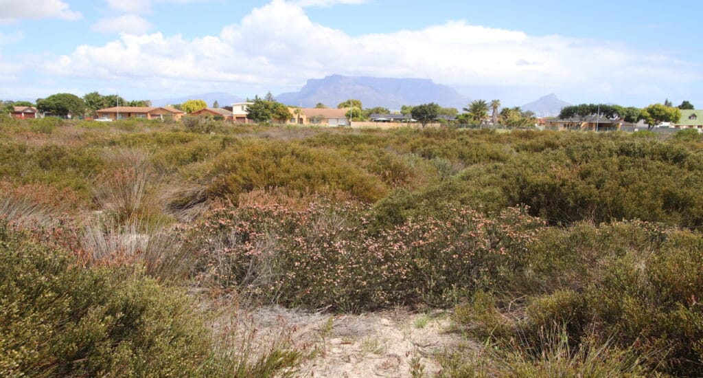 Exploring the Nature Reserve