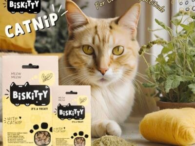 Pawfect Pals - Pet Supplies