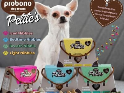 Pawfect Pals - Pet Supplies